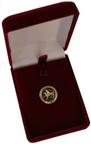 Знак «Герб Татарстана» из золота с эмалью